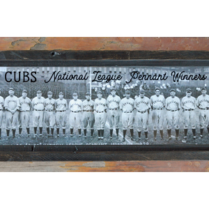 Cubs Pennant Winning Team - Circa 1929 by Amy Manning