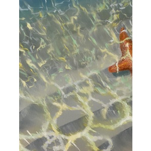 Starfish by the seashore. Original Painting 20 x 30 inches. by Delphine Pontvieux