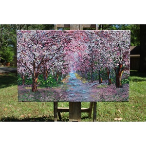 Cherry Blossoms by Kenneth Halvorsen