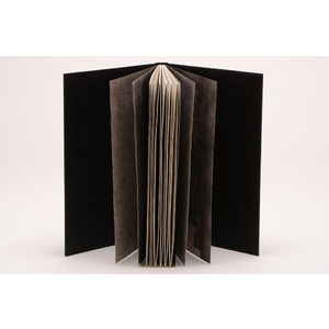 Street Trash (2012): a Limited Edition Sculptural Artist Book with Original Text by Don Widmer by Don Widmer