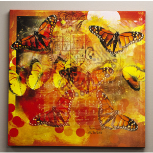 Butterfly 28x28in" Canvas by Eric Lee