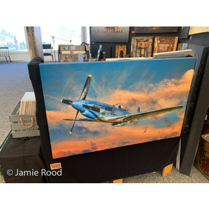 P-51 McSwine by Jamie Rood