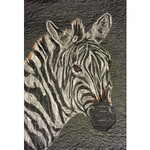 Zebra by Dolores Fegan