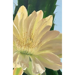 Desert Flower 20x16 by Thelma Fanstone Haffner