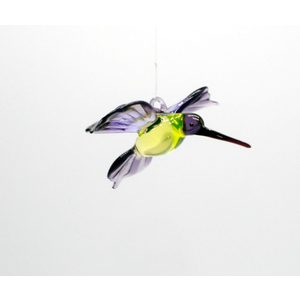 Hummingbird Tina by Thomas von Koch