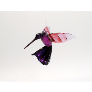 Hummingbird Simone with Dichroic by Thomas von Koch