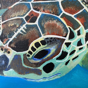 Toby the Turtle (original painting) by Delphine Pontvieux