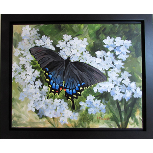 Black Swallowtail 20" x 16" by Linda Sacketti
