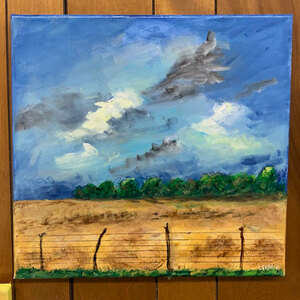 Summer Field: Storm Coming! - 18"X18" square original painting on canvas - ready to hang - Free Shipping by Bob Leopold