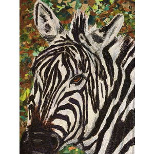 Zebra by Dolores Fegan