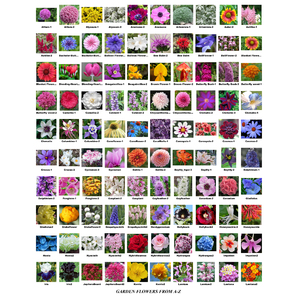 Garden Flowers Photo Mosaic Print Art by David Addario