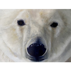 Polar Portrait 20x20  by Thelma Fanstone Haffner