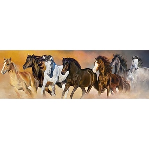 Wild 7 - 40x22 Stretched canvas by Thelma Fanstone Haffner