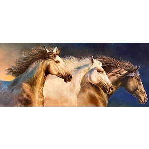 Wild Freedom 36x12 Stretched canvas by Thelma Fanstone Haffner