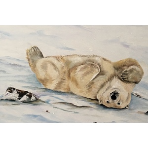 Polar Stretch by Thelma Fanstone Haffner