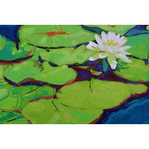 Myriad Water Lilies by Mark Gleberzon