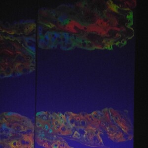 Neon Splash 24" x 36" Triptych by Anne Hlavac