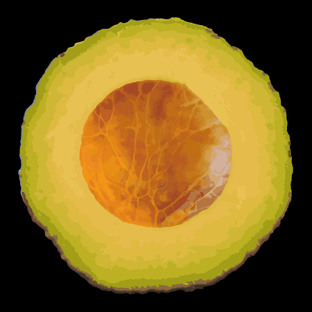 Medium avocado