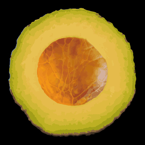 Avocado - 12x12 Canvas by Jason Ulman
