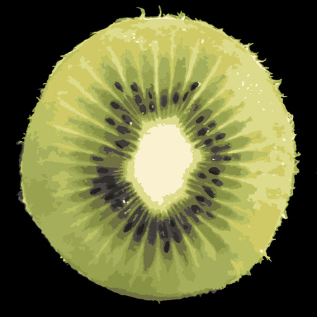 Medium kiwi