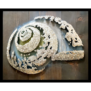 Seashell by Megan Hutchins