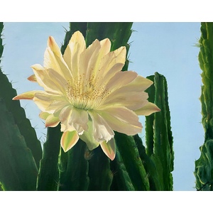 Desert Flower 20x16 by Thelma Fanstone Haffner