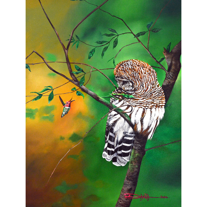 Border Patrol, Barred Owl and Anna's Hummingbird 28"x 22"  by Dana Newman