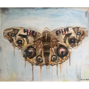Buckeye Butterfly  by Heidi Lowell