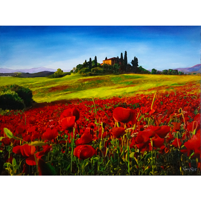 Tuscan Poppies by Robert Scott
