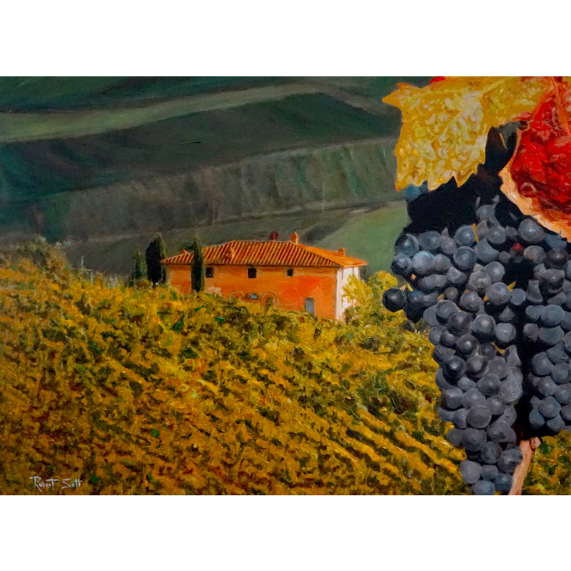 Tuscan Grapes by Robert Scott
