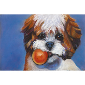 Shihtzu dog with orange ball by Ann Marie Hoff