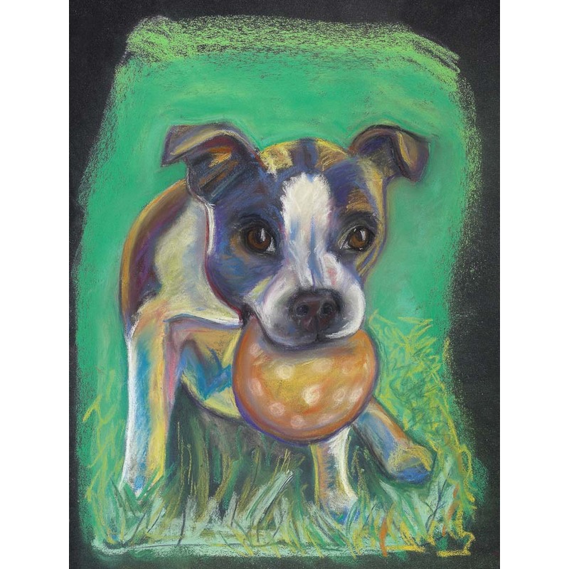 Boston Terrier with Squeaky Ball by Ann Marie Hoff