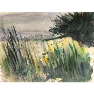 Adrian's Meadow by Regina Roland