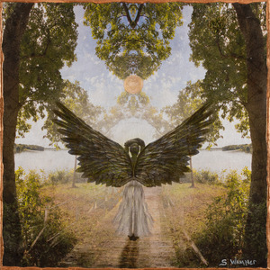 Angelicus by Sondra Wampler