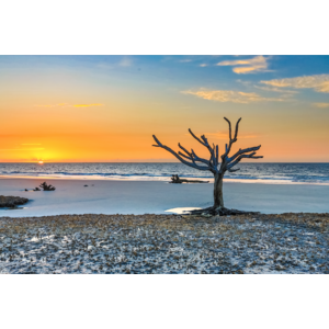 Lone Tree Sunrise by Philip Heim