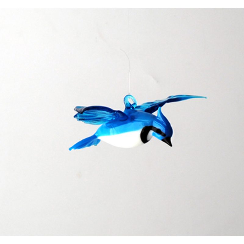 Blue Jay by Thomas von Koch