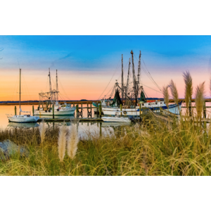 Sea Oats at the Docks by Philip Heim