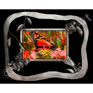 Butterfly Effect by Heather Lorelei Harris