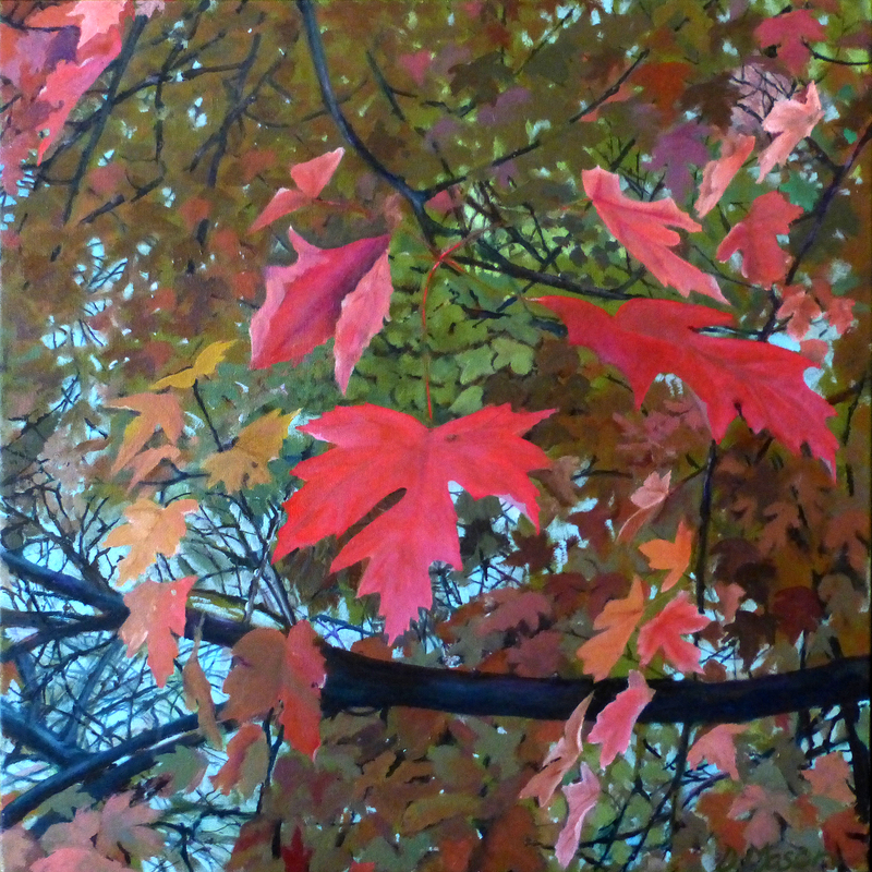 Fall Maple by Dorothy Mason