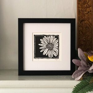 Daisy: Flora Series by Betsy Stecker