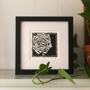 Rose: Flora Series by Betsy Stecker