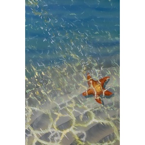 Starfish by the seashore. Original Painting 20 x 30 inches. by Delphine Pontvieux