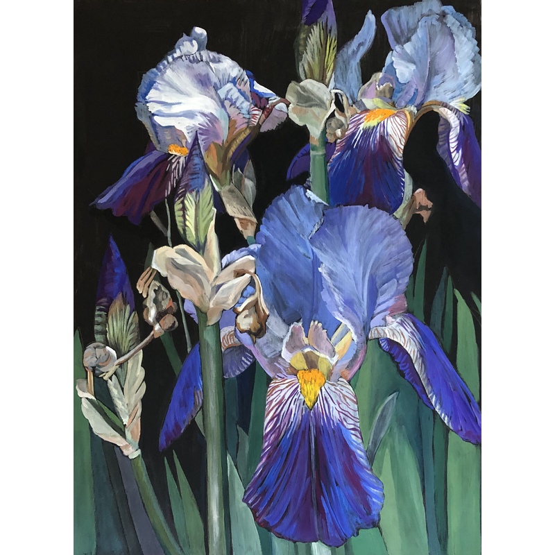 Black Irises by Linda Curtis