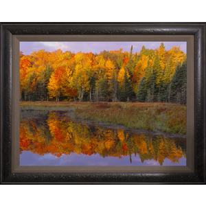 Beaver Pond Sunset by Ron Mellott