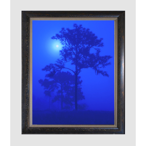 Blue Moon by Ron Mellott