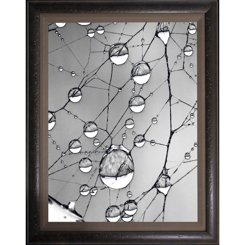 Spiderweb Jewels by Ron Mellott