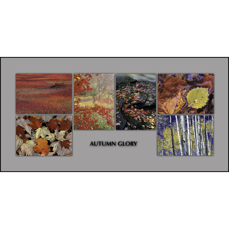 Set of 6 notecards titled:  Autumn Glory by Ron Mellott