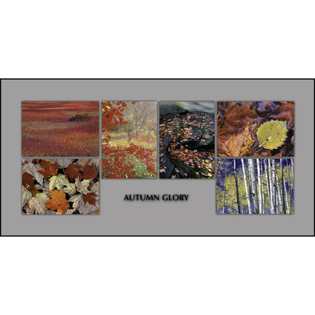 Medium autumn glory notecard set mellott item 4