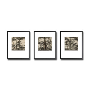 Misty Bamboo Print Set of 3 by Nha Vuu