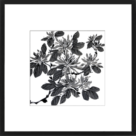 Medium chrysanthamum